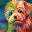 West Highland Terrier